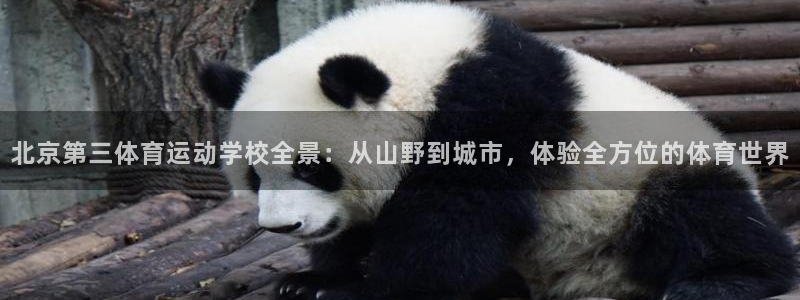 杏运登录注册