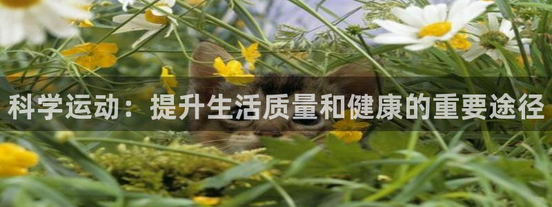 杏运体育