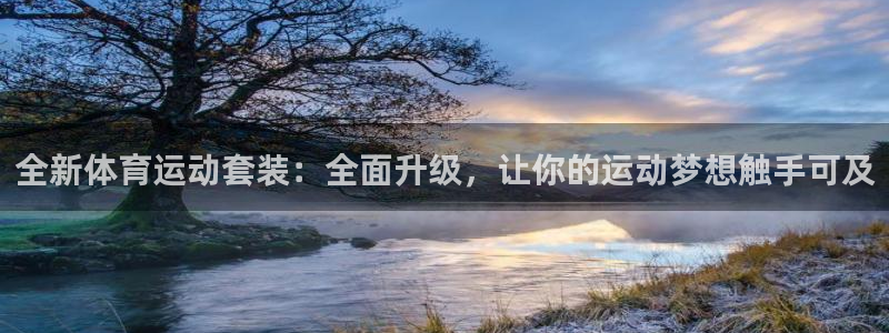 杏运达贝怎么样