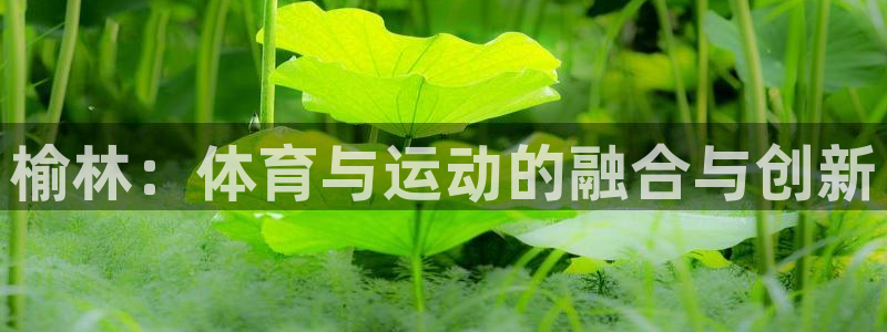 杏运达贝钙是正规品牌吗
