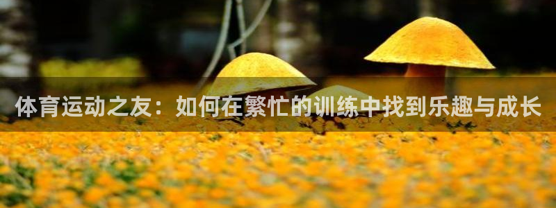 杏运体育f开号