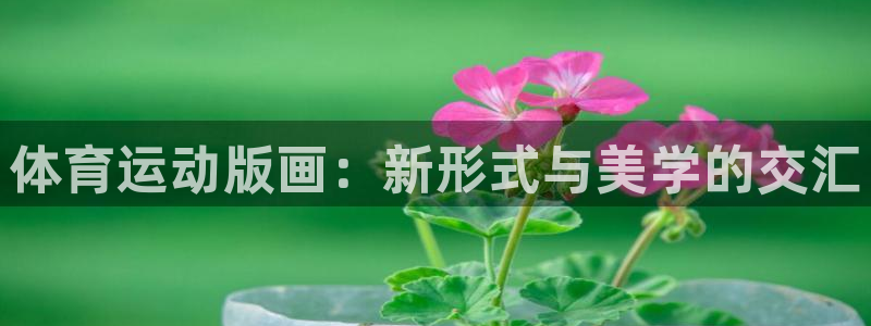 杏运体育平台开号链接