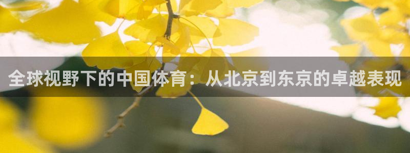 杏运达贝