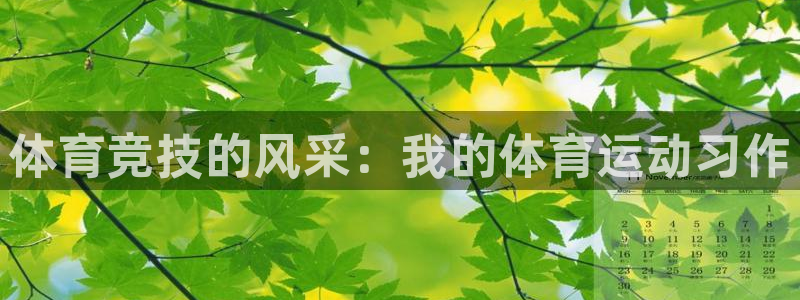 杏运体育4