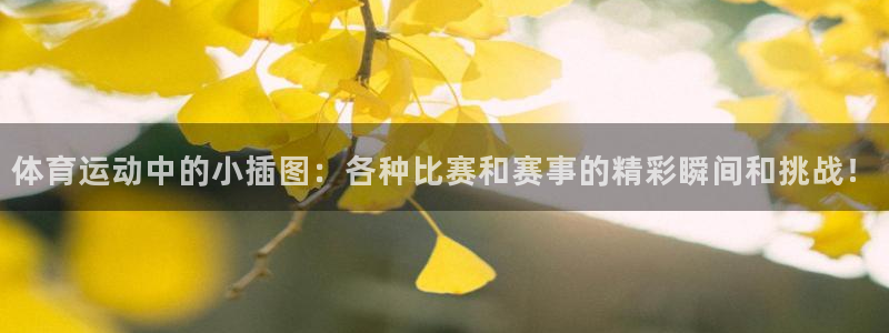 德国杏运集团