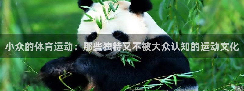 杏运官网注册