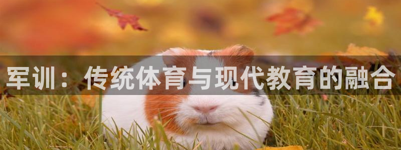 杏运达贝怎么样