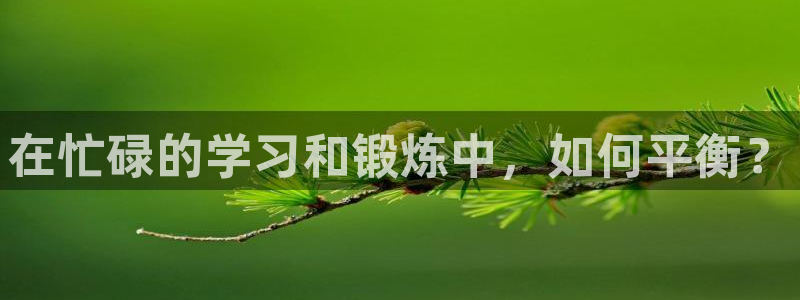 杏运4开户