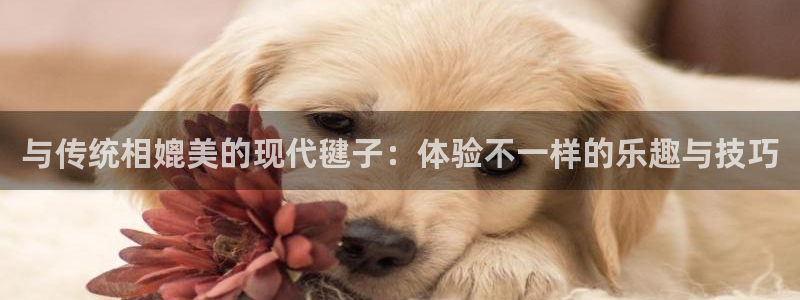 杏运科技