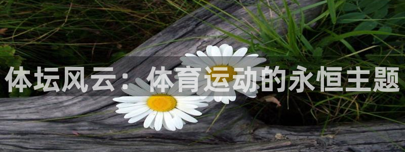杏运体育