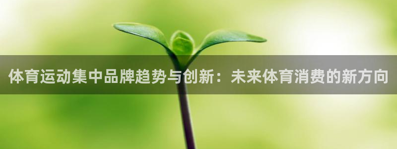 杏运2代理注册