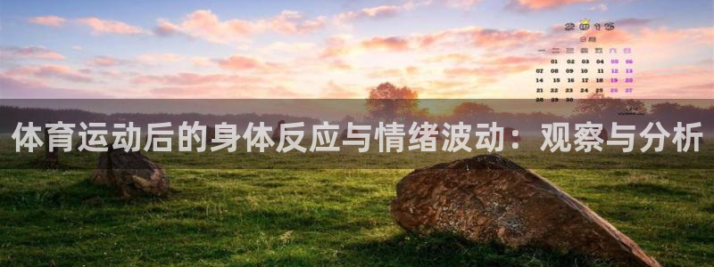 杏运达贝是什么